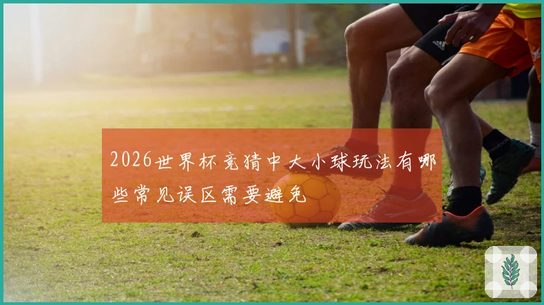 2026世界杯竞猜中大小球玩法有哪些常见误区需要避免