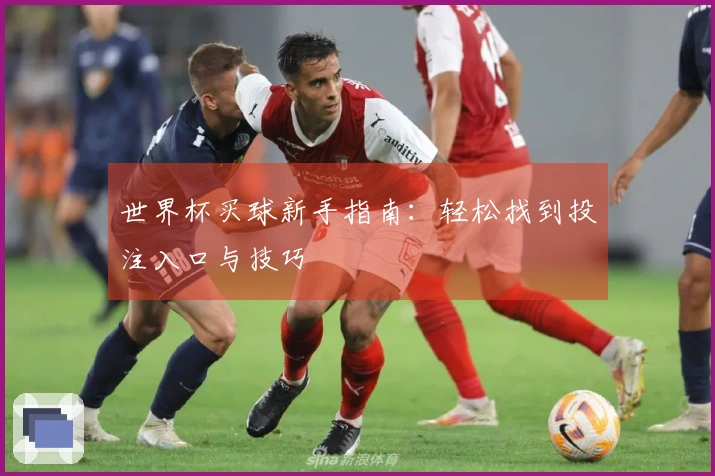 世界杯买球新手指南:轻松找到投注入口与技巧