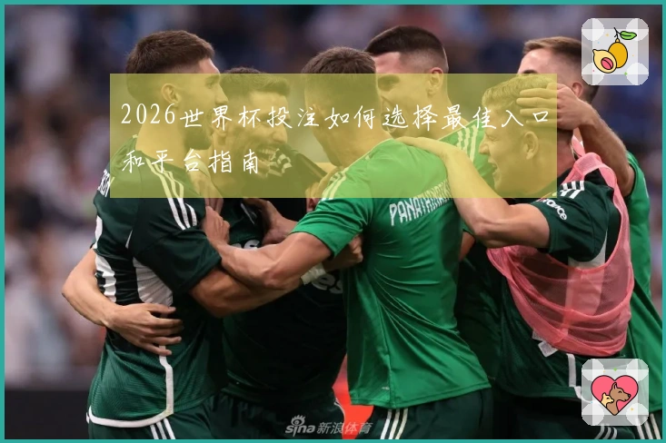 2026世界杯投注如何选择最佳入口和平台指南