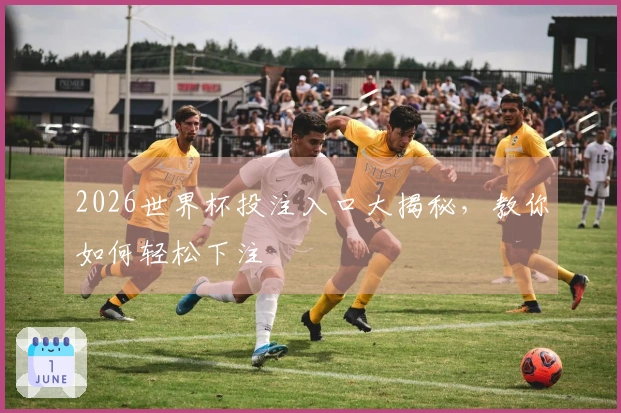 2026世界杯投注入口大揭秘，教你如何轻松下注