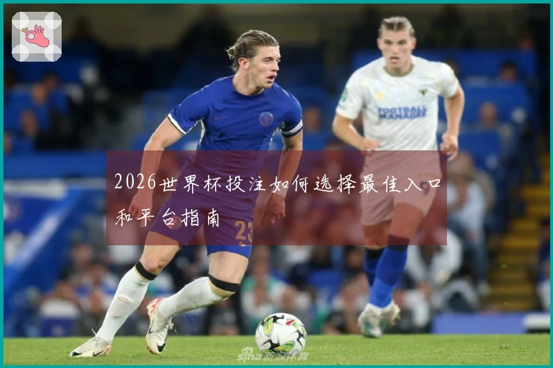 2026世界杯投注如何选择最佳入口和平台指南