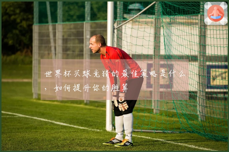世界杯买球竞猜的最佳策略是什么，如何提升你的胜算