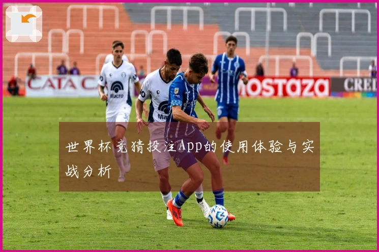 世界杯竞猜投注App的使用体验与实战分析