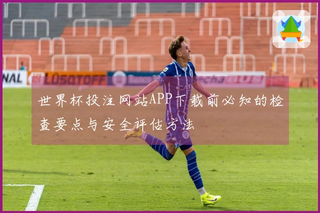 世界杯投注网站APP下载前必知的检查要点与安全评估方法