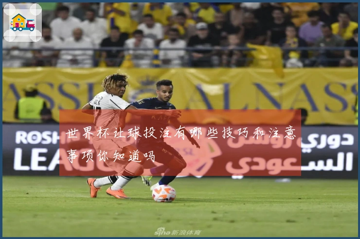 世界杯让球投注有哪些技巧和注意事项你知道吗