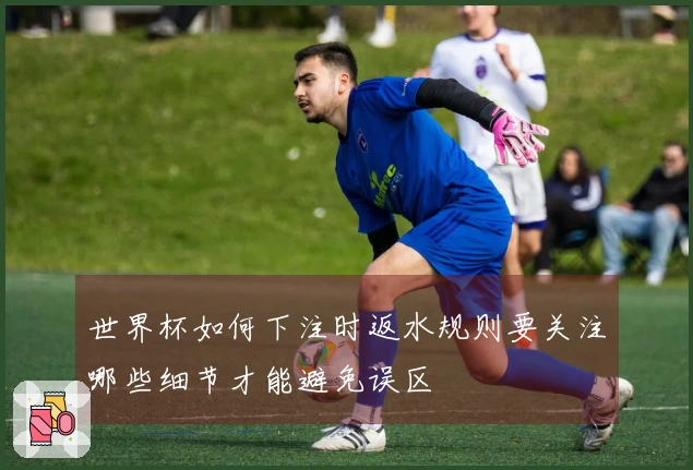 世界杯如何下注时返水规则要关注哪些细节才能避免误区