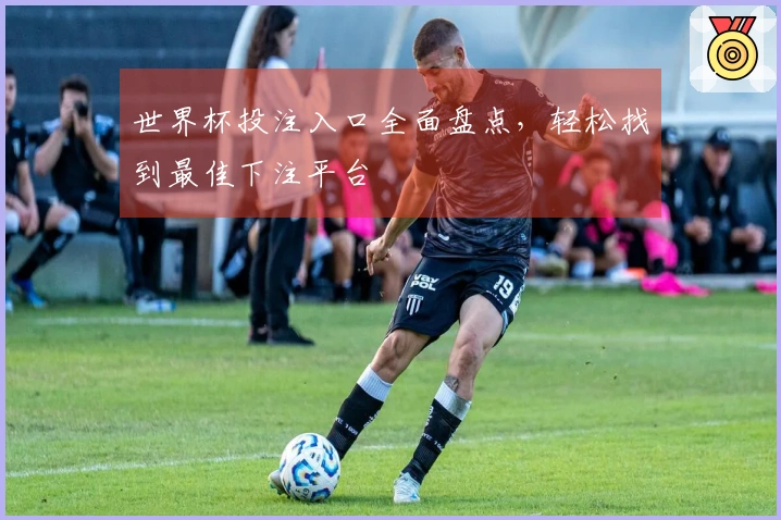 世界杯投注入口全面盘点，轻松找到最佳下注平台