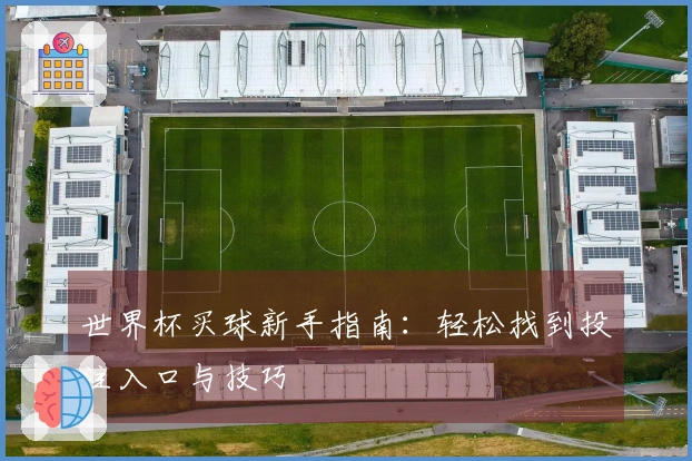 世界杯买球新手指南：轻松找到投注入口与技巧
